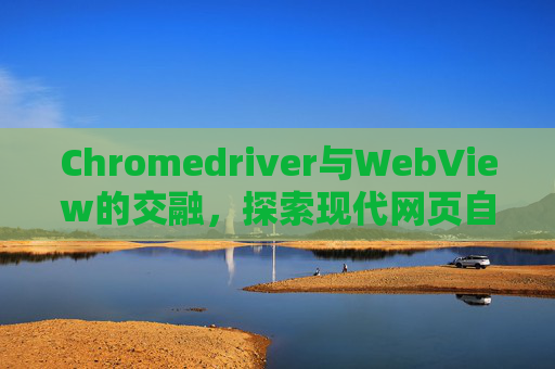 Chromedriver与WebView的交融，探索现代网页自动化的新境界